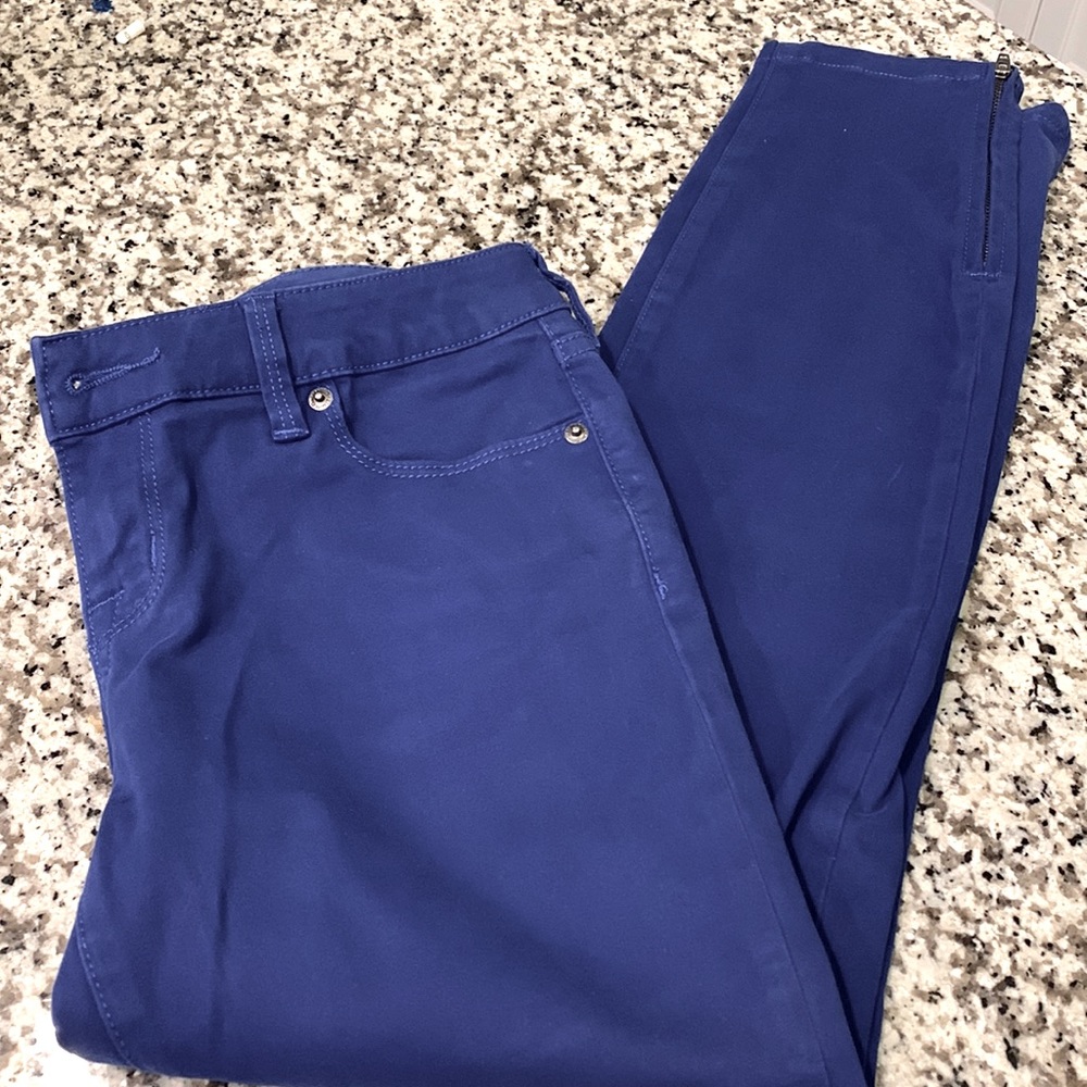 NWOT Denim pants/ lightweight jeans by The Limited style 678